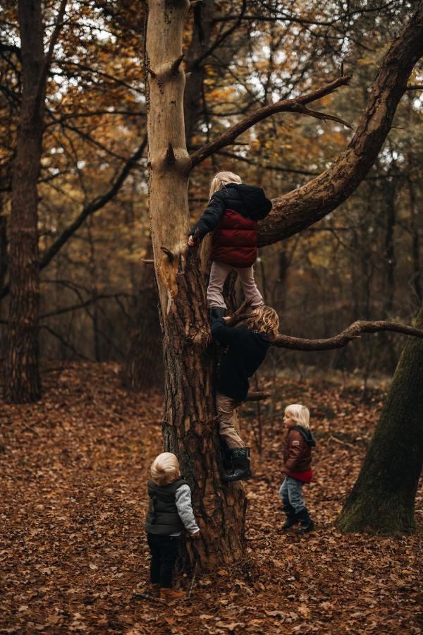 4P Chalet Tolve Met 4 Fietsen Vlakbij Natuurgebieden Drents Friese Wold, Fochteloerveen En Gevangenisdorp Veenhuizen Oosterwolde  エクステリア 写真