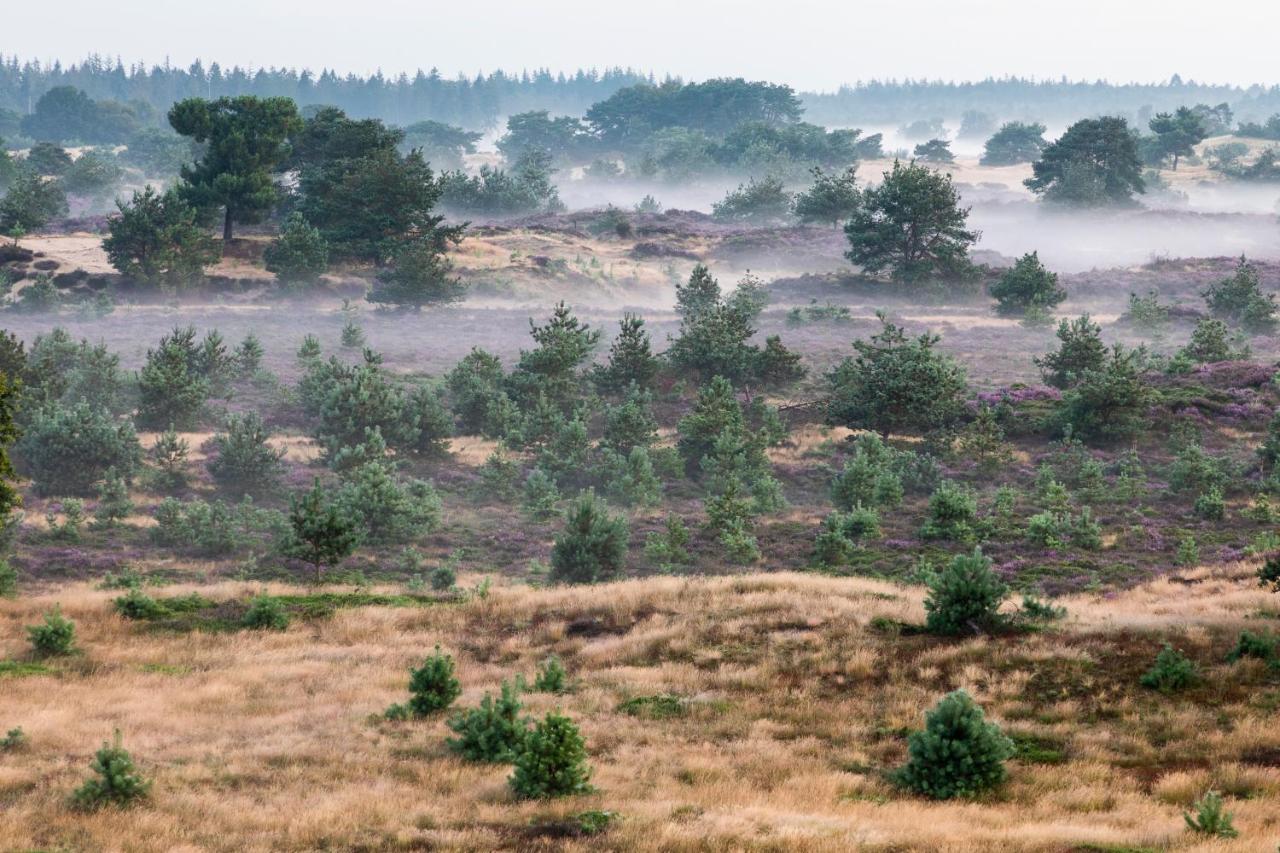 4P Chalet Tolve Met 4 Fietsen Vlakbij Natuurgebieden Drents Friese Wold, Fochteloerveen En Gevangenisdorp Veenhuizen Oosterwolde  エクステリア 写真