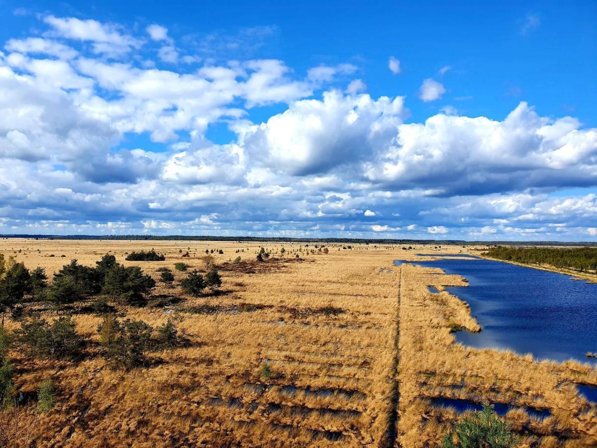 4P Chalet Tolve Met 4 Fietsen Vlakbij Natuurgebieden Drents Friese Wold, Fochteloerveen En Gevangenisdorp Veenhuizen Oosterwolde  エクステリア 写真